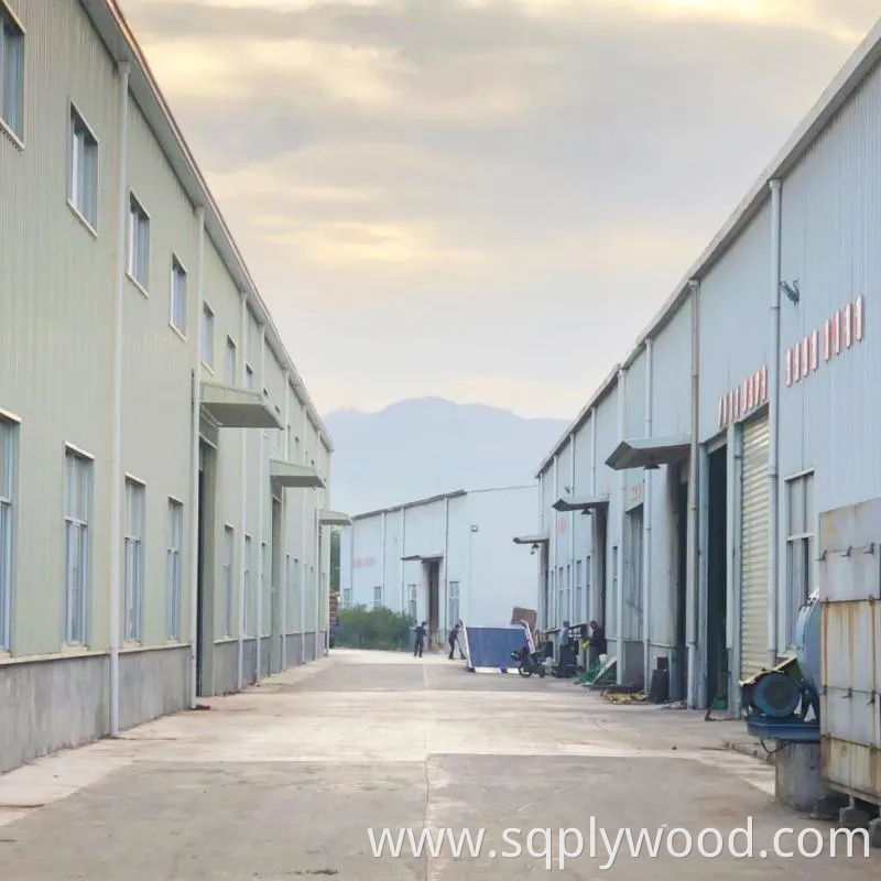 Shuttering/Marine Plywood, Construction Waterproof Film Faced Plywood for Building